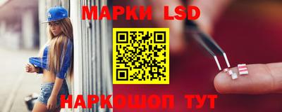 индика Краснознаменск