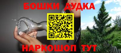 индика Краснознаменск