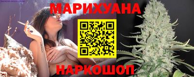 индика Краснознаменск