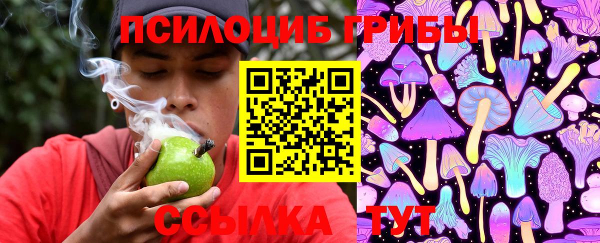 Казань  Галлюциногенные грибы Cubensis  Вход с VPN 